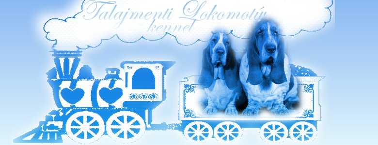 Talajmenti Lokomotv basset hound kennel